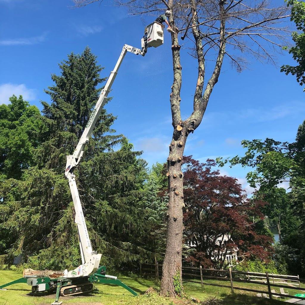 Brothers Tree Service LLC | 227 Commercial St, Watertown, CT 06795 | Phone: (203) 758-2767