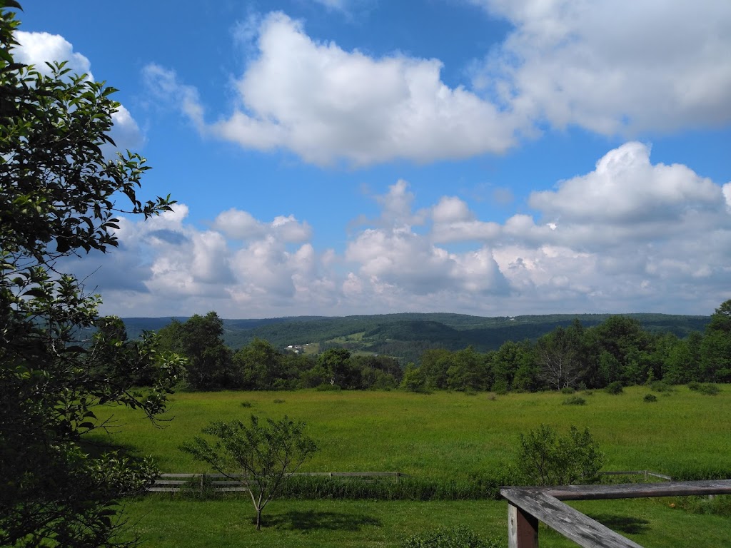 The Craft Room B&B | 24 Valell Path, 109 Skyline Drive Rd, Livingston Manor, NY 12758 | Phone: (845) 439-3441