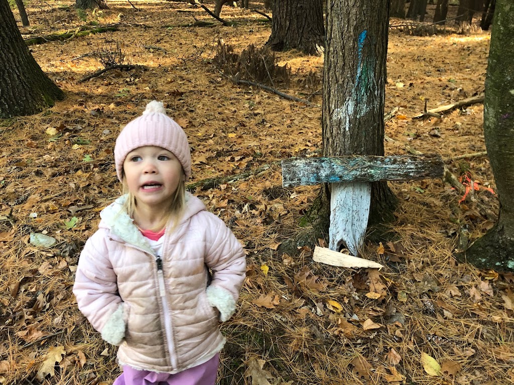 The Oak Rose Forest School by The Wizard School | 132 Hospital Rd, Callicoon, NY 12723 | Phone: (561) 718-3052