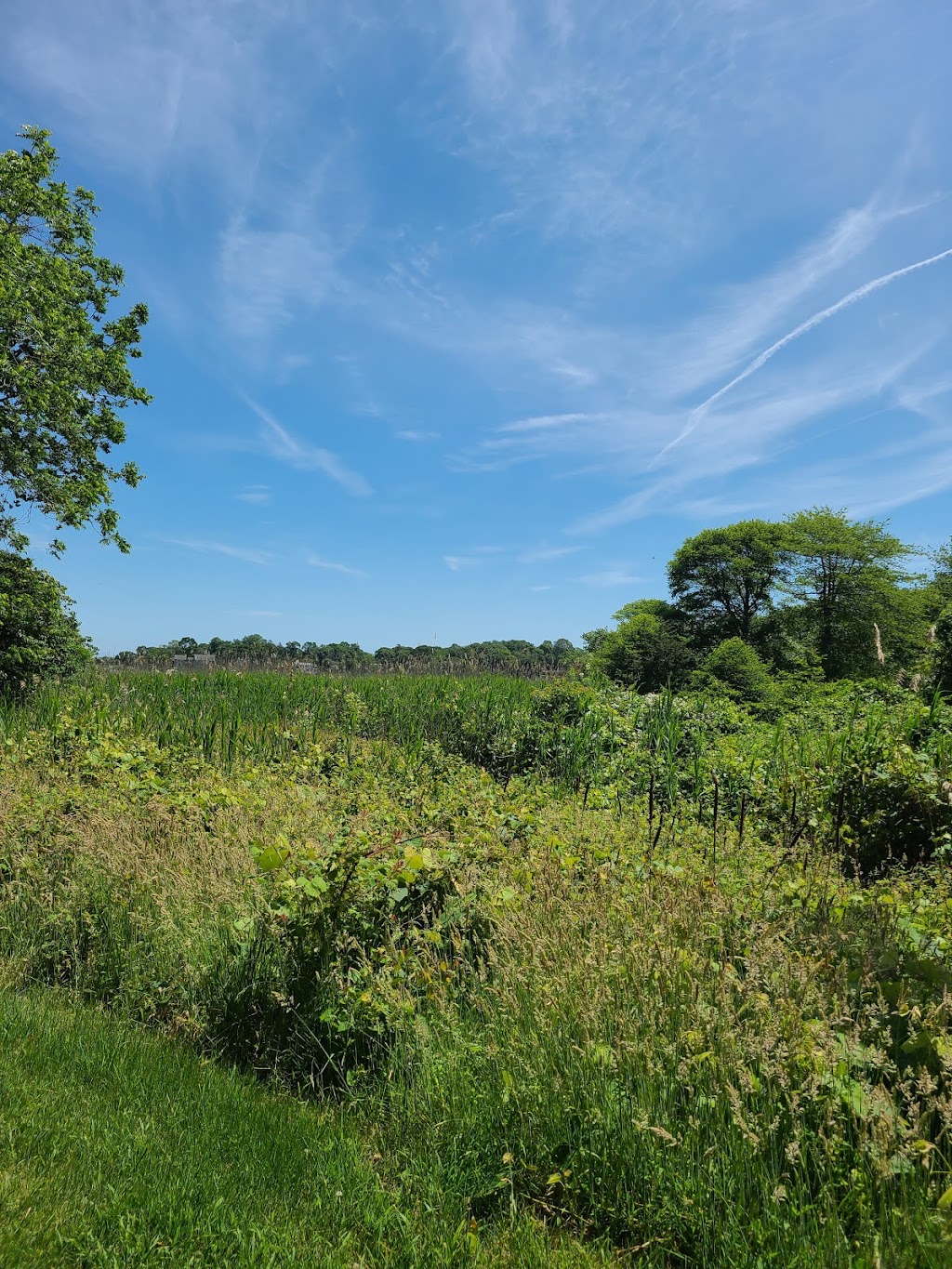 Elizabeth A. Morton National Wildife Refuge | 2595 Noyack Rd, Sag Harbor, NY 11963 | Phone: (631) 725-7598