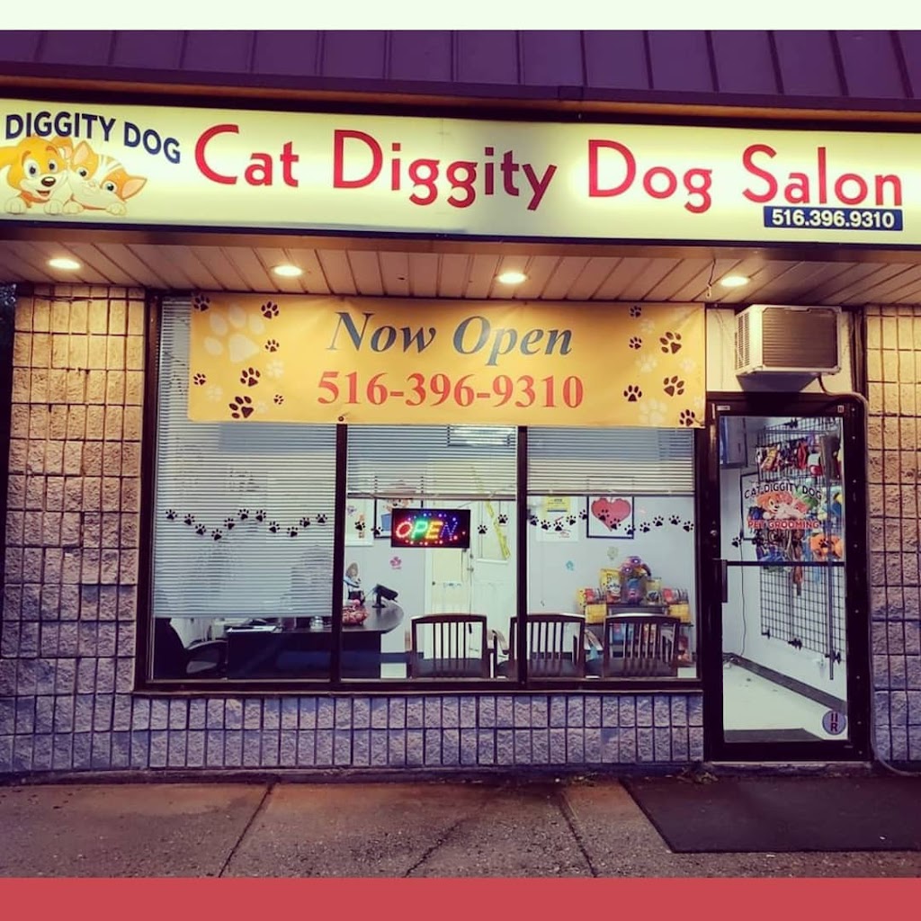Cat Diggity Dog Salon - Dog Grooming & Cat Grooming | 37 Woodbury Rd, Hicksville, NY 11801 | Phone: (516) 396-9310