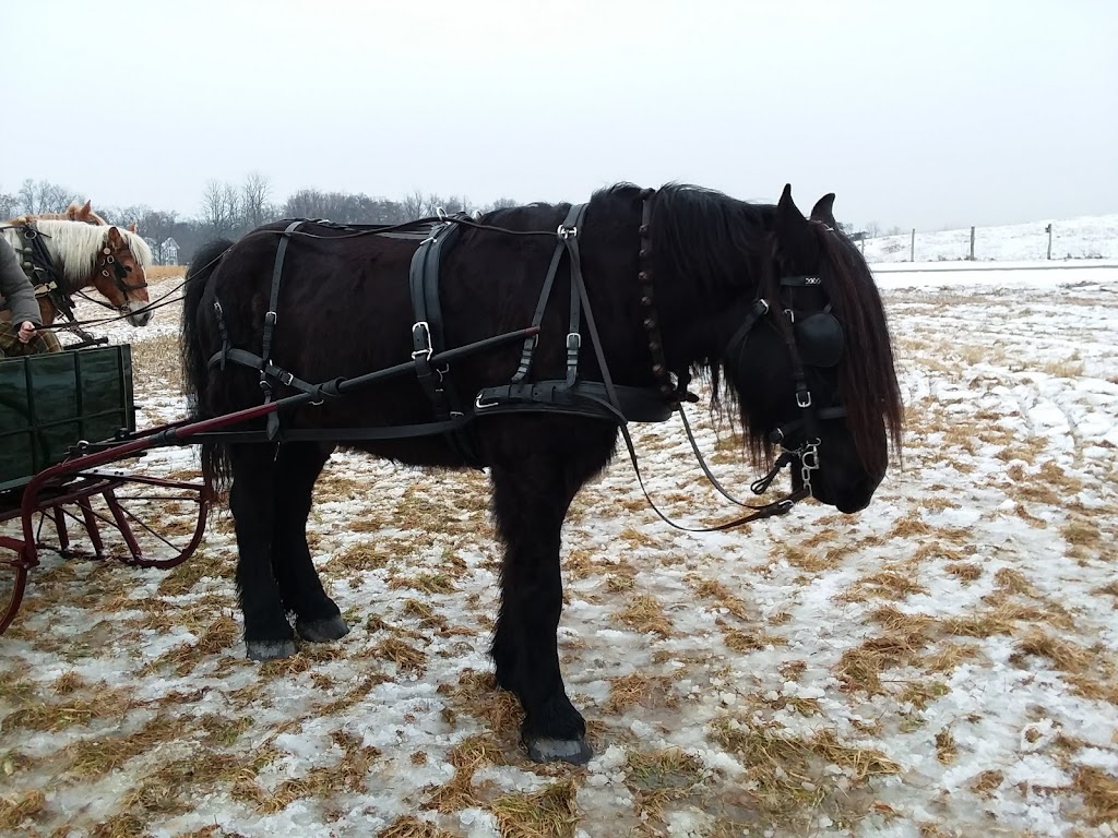 Stony Kill Farm Environmental Education Center | 79 Farmstead Ln, Wappingers Falls, NY 12590 | Phone: (845) 831-3800