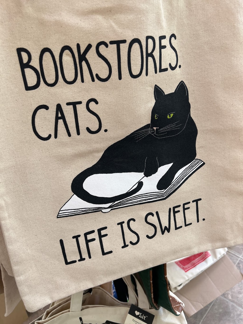 The Curious Cat Bookshop | 386 Main St, Winsted, CT 06098 | Phone: (860) 909-1014