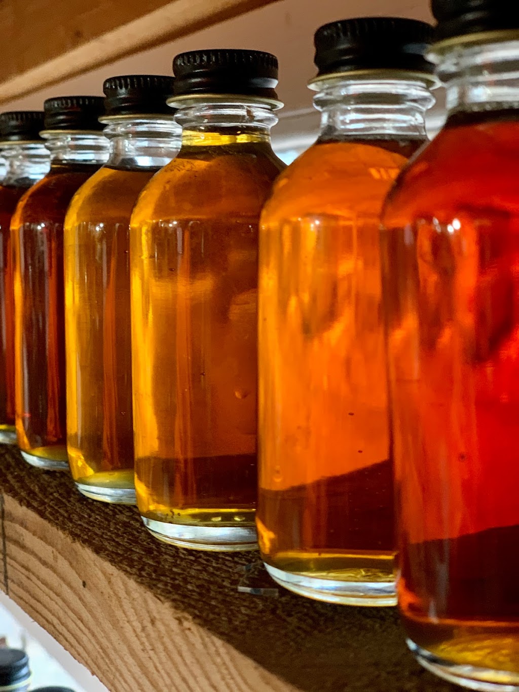 Tree Juice Maple Syrup | 59 Rider Hollow Rd, Arkville, NY 12406 | Phone: (845) 204-8870