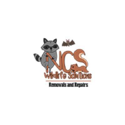 NCS Wildlife Solutions | 29 Benson St, Milford, CT 06460 | Phone: (203) 437-7278