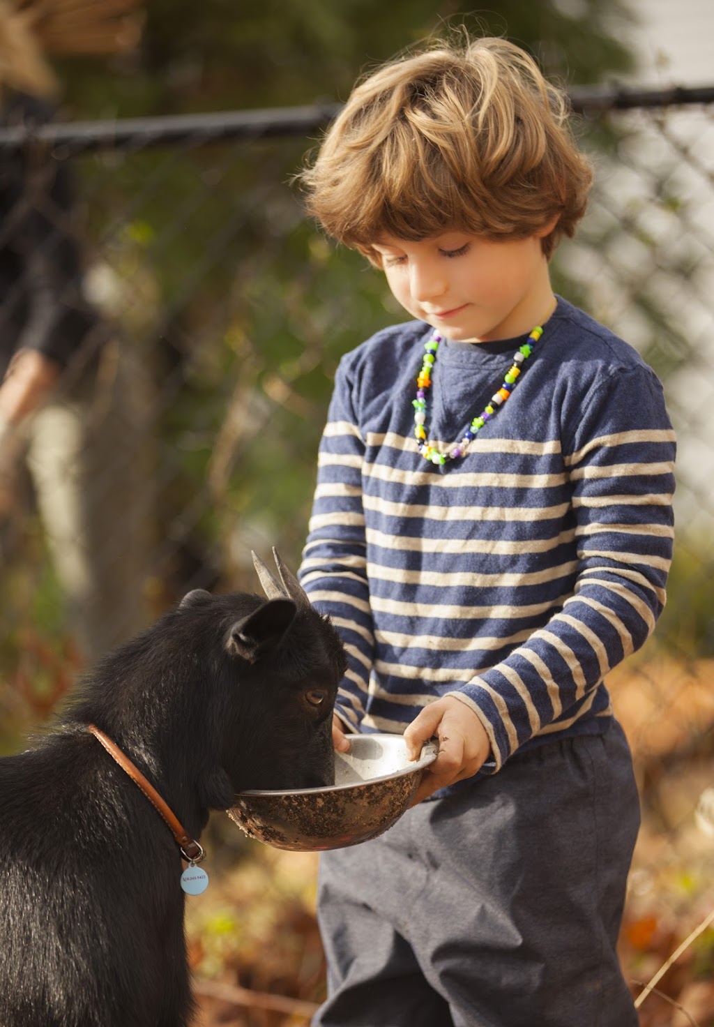 Harbor Waldorf School | 11 Carroll St, Sag Harbor, NY 11963 | Phone: (631) 725-1520