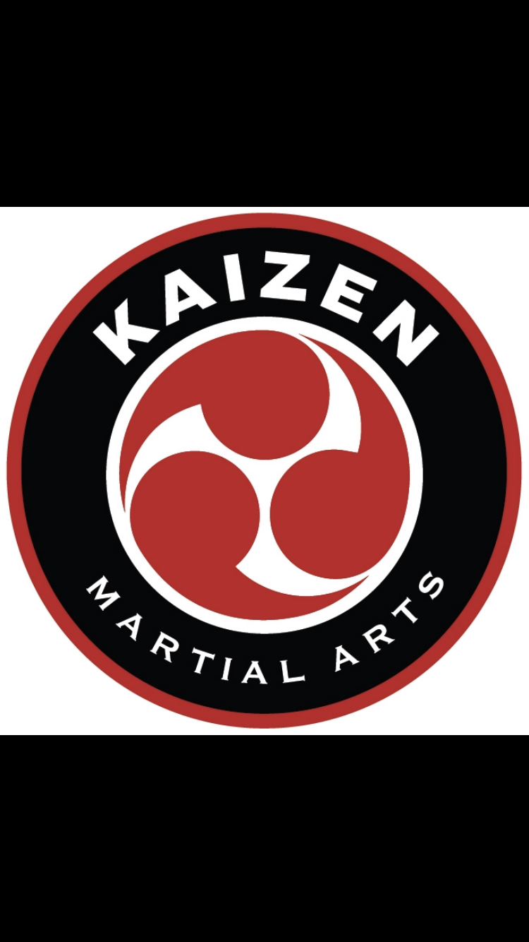 Kaizen Martial Arts | 15 Dardess Dr, Chatham, NY 12037 | Phone: (518) 938-1519