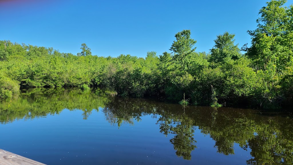 Shu Swamp Nature Preserve | 28 Frost Mill Rd, Mill Neck, NY 11765 | Phone: (516) 671-0283