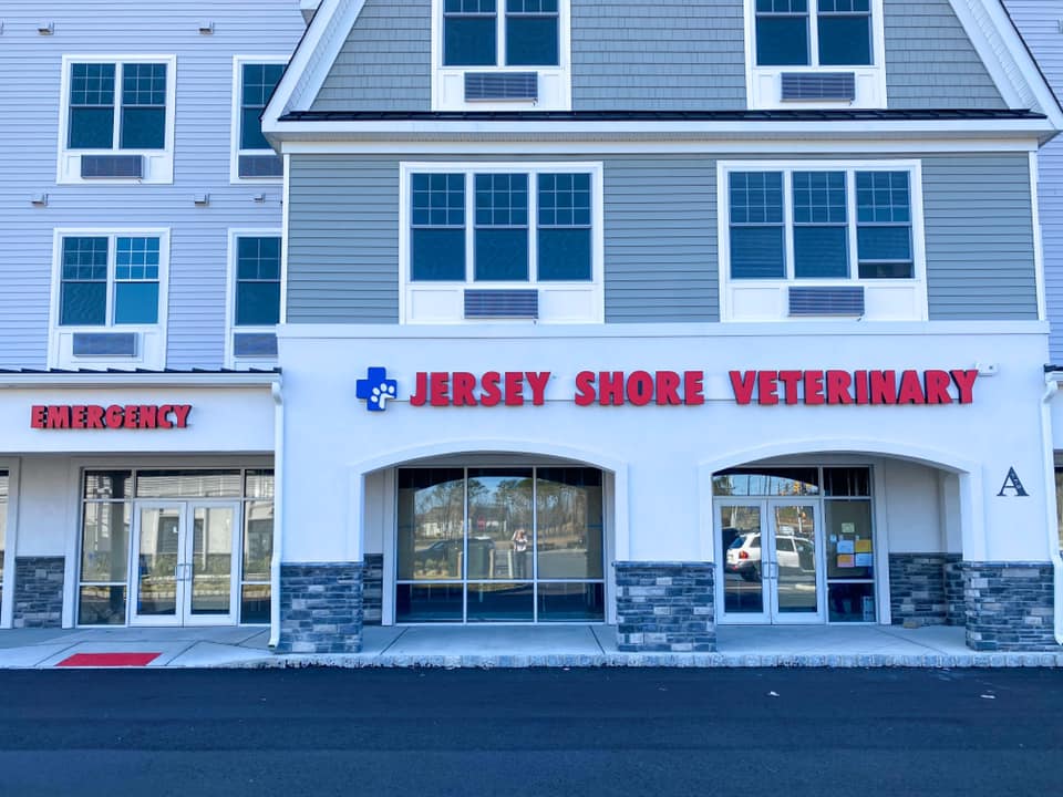 Jersey Shore Veterinary Hospital | 770 Lighthouse Dr, Barnegat Township, NJ 08005 | Phone: (732) 363-3200