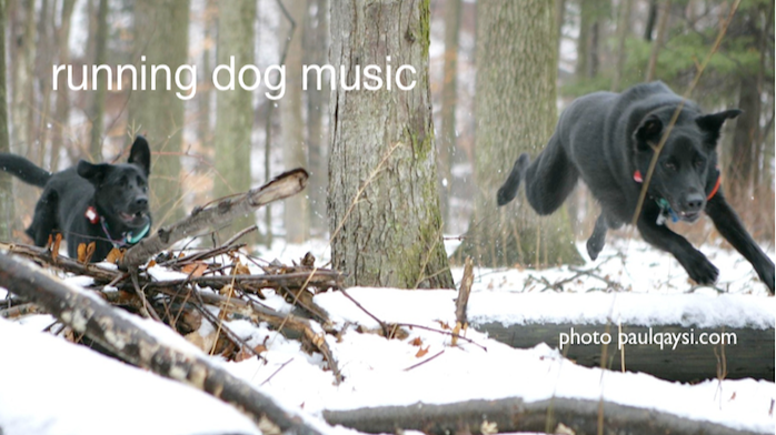 running dog music | 230 Saw Mill River Rd, Millwood, NY 10546 | Phone: (914) 762-3286