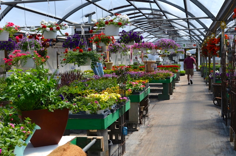 Sunny Garden Greenhouses | 2238 NY-9D, Wappingers Falls, NY 12590 | Phone: (845) 297-4400