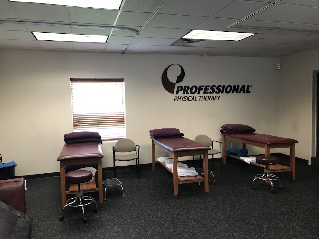 Professional Physical Therapy | 64 River Rd, East Hanover, NJ 07936 | Phone: (973) 577-8575