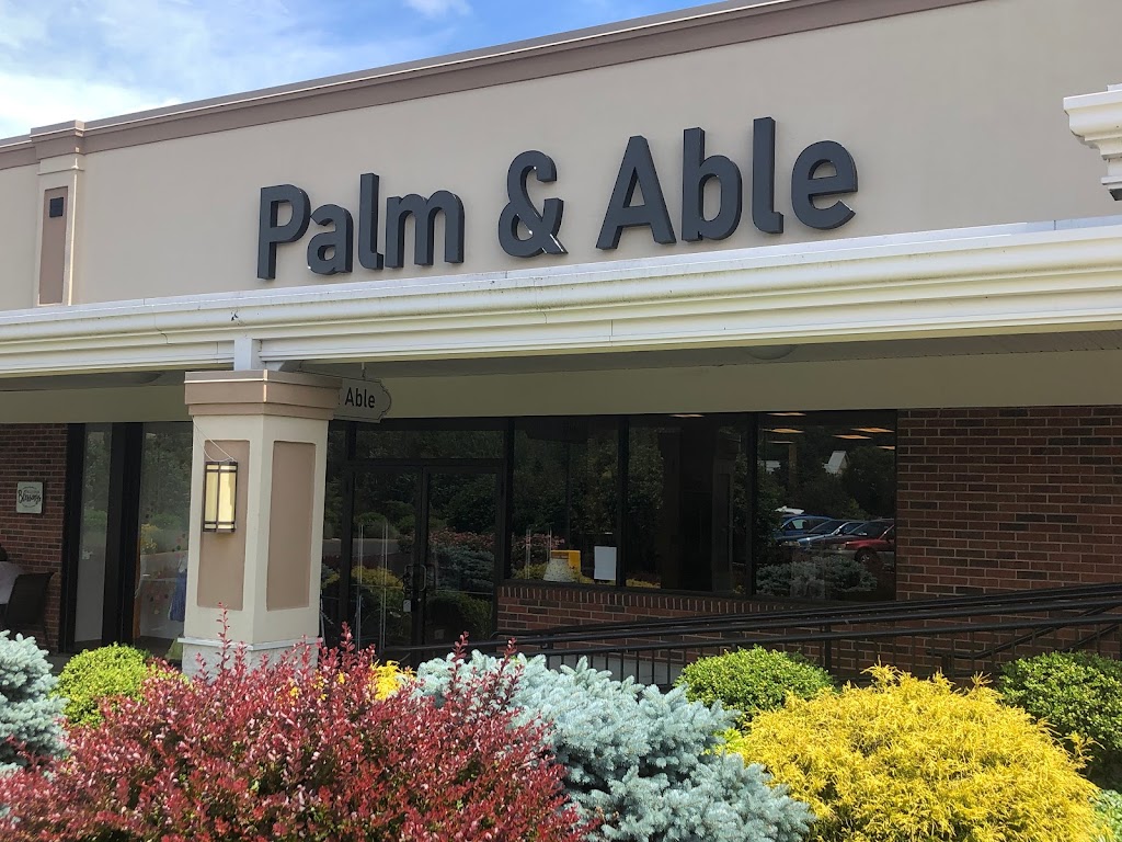 Palm and Able | 874 Bridgeport Ave, Shelton, CT 06484 | Phone: (475) 269-2608