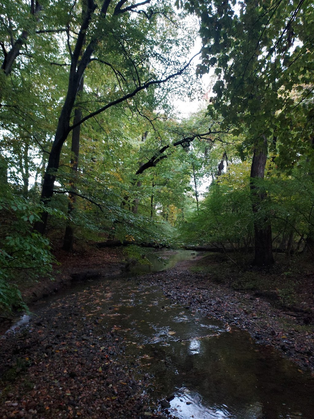 Heritage Conservancy Harts Woods Nature Trail | New Britain, PA 18901 | Phone: (215) 345-7020