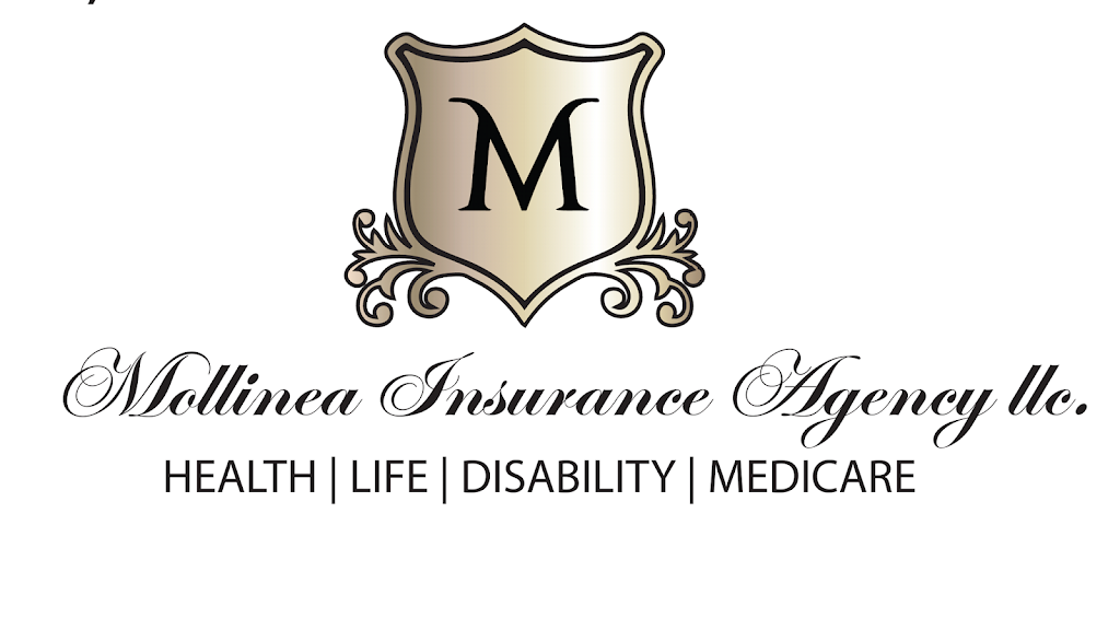 Mollinea Insurance Agency LLC | 191 Daffodil Dr, East Stroudsburg, PA 18301 | Phone: (570) 369-4101