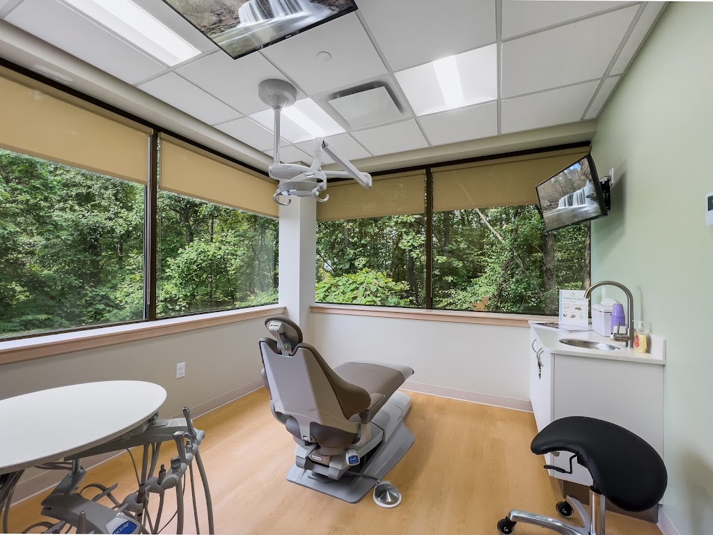 Willow Tree Pediatric Dentistry | 35 Corporate Dr Suite 110, Trumbull, CT 06611 | Phone: (203) 220-6000