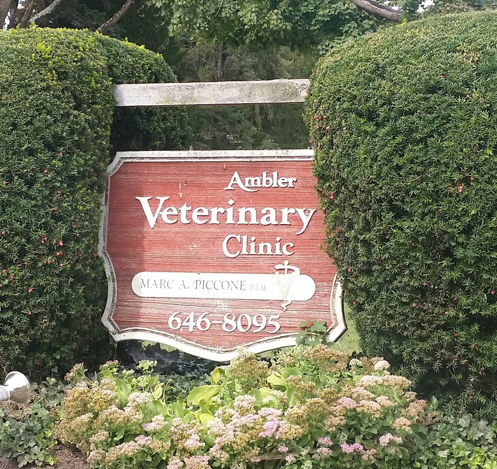 Ambler Veterinary Clinic | 419 N Spring Garden St, Ambler, PA 19002 | Phone: (215) 646-8095
