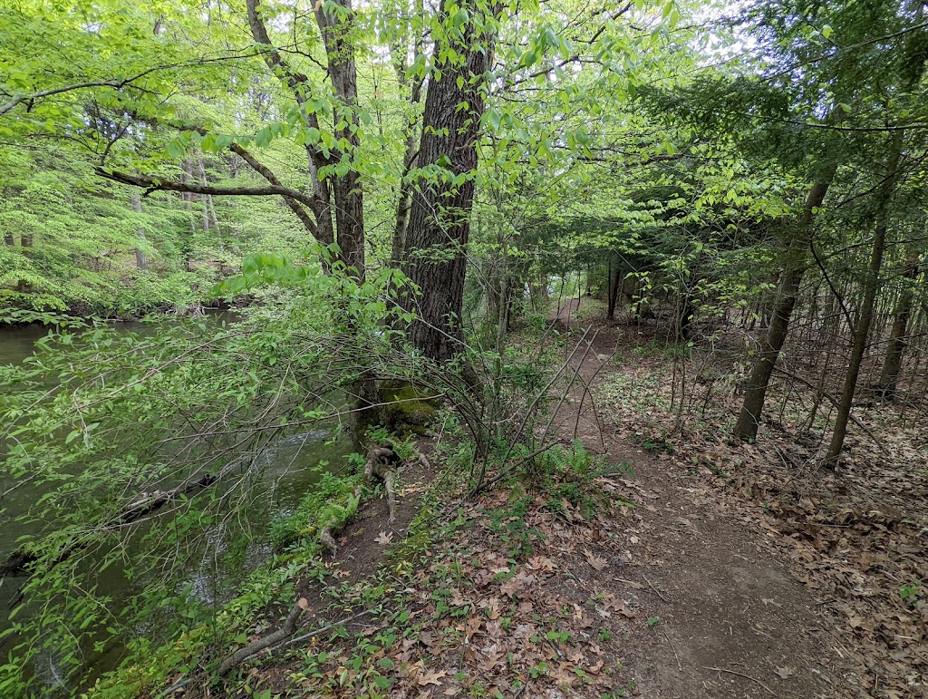 Pomeroy McMichaels Creek Nature Preserve | 675 Hickory Valley Rd, Stroudsburg, PA 18360 | Phone: (570) 424-1514