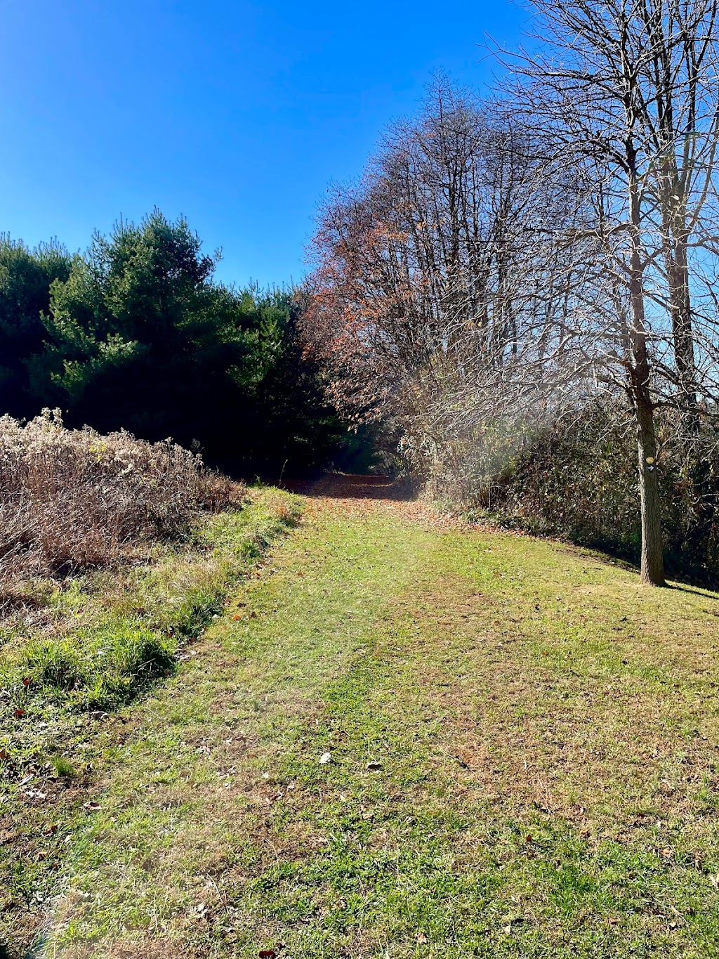 Natural Lands Binky Lee Preserve | 1445 Pikeland Rd, Chester Springs, PA 19425 | Phone: (610) 353-5587