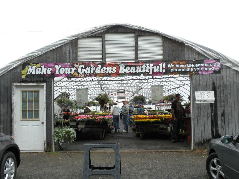 Shiel Farm & Greenhouses | 66 Pequot Rd, Southampton, MA 01073 | Phone: (413) 493-3928