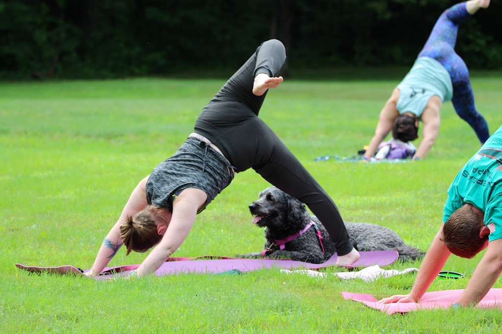 TAO DOG® YOGA | 22 Iron Horse Blvd, Simsbury, CT 06070 | Phone: (860) 682-2313