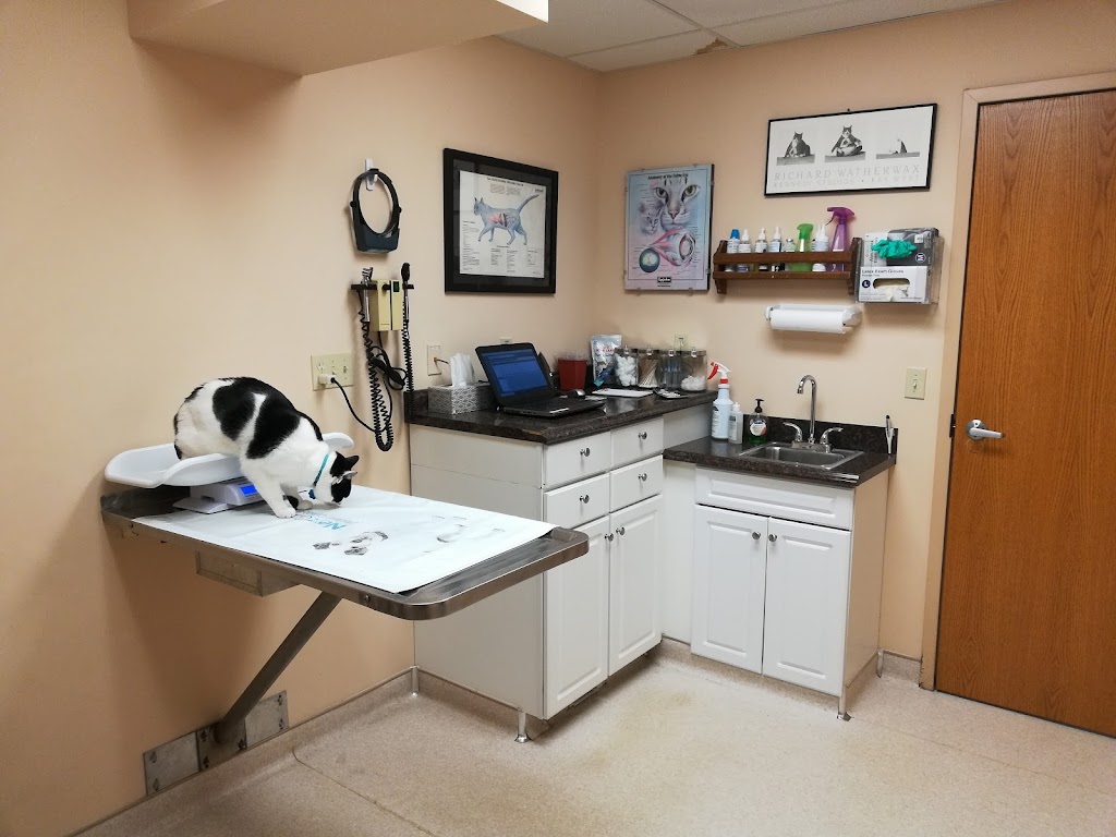 Leck Veterinary | 115 W Pennsylvania Ave, Pen Argyl, PA 18072 | Phone: (610) 863-3111