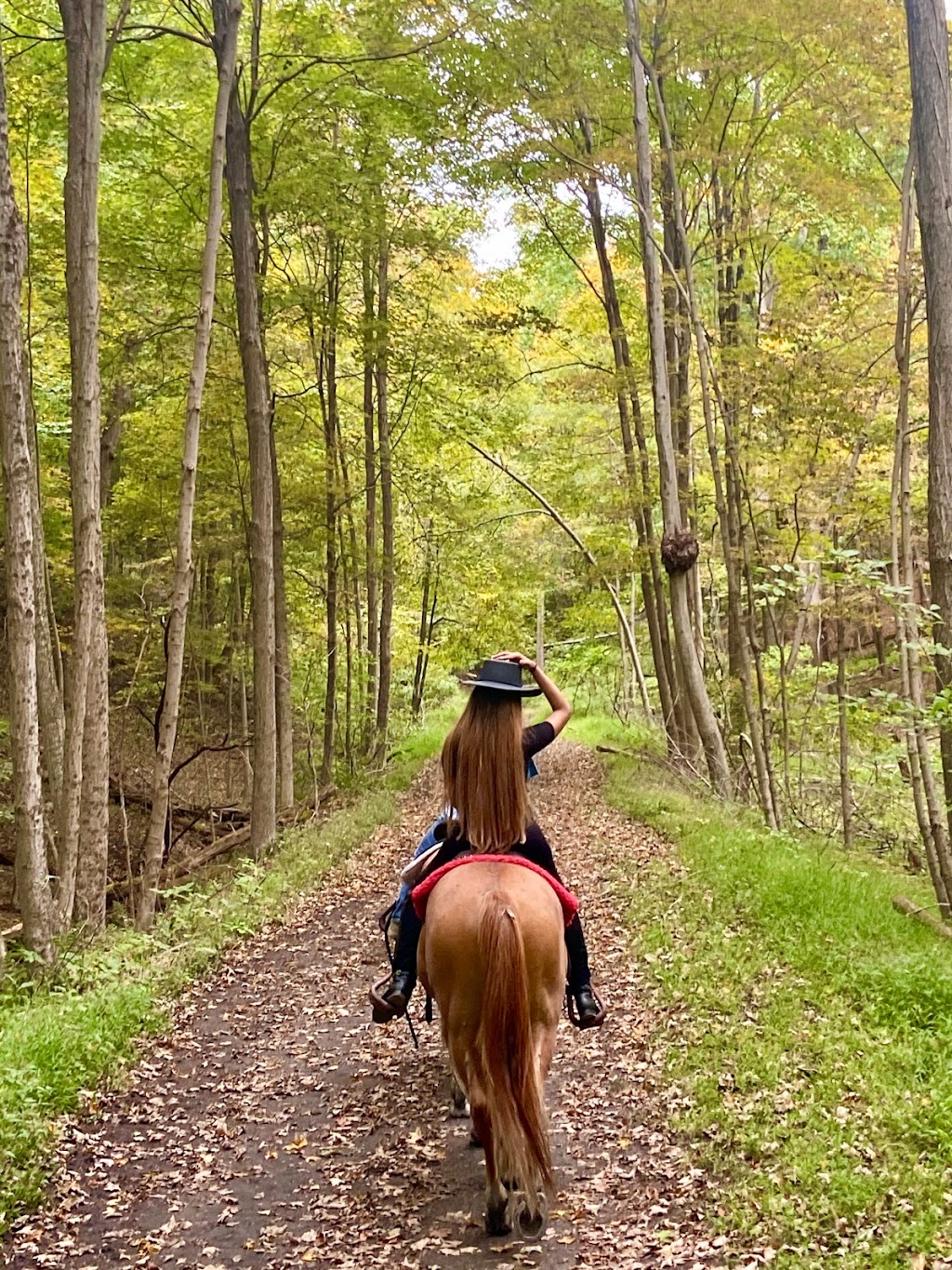 Top View Riding Ranch | 36 Hess Rd, Blairstown, NJ 07825 | Phone: (908) 362-1440