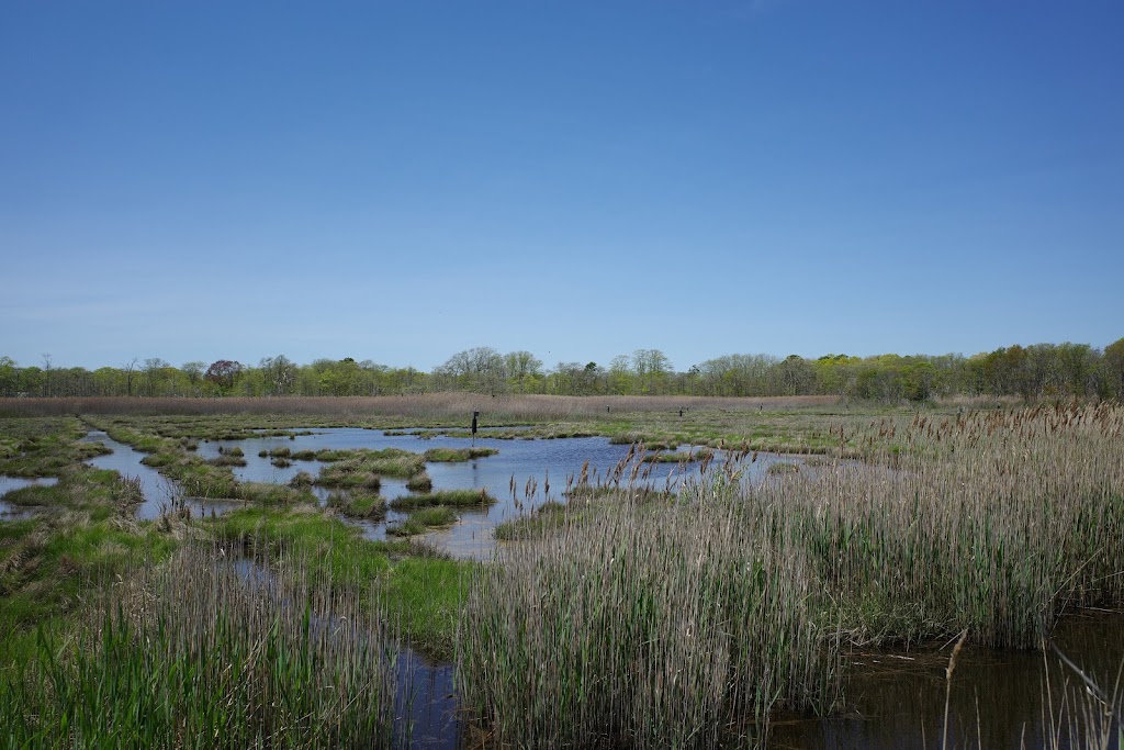 Seatuck National Wildlife Refuge | Islip, NY 11751 | Phone: (631) 286-0485