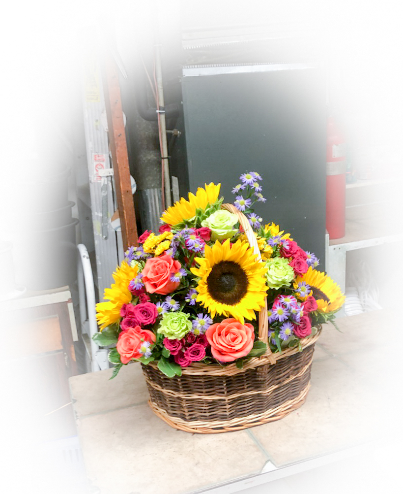 Boos Floral Showcase | 38 W Village Green, Hicksville, NY 11801 | Phone: (516) 735-2244