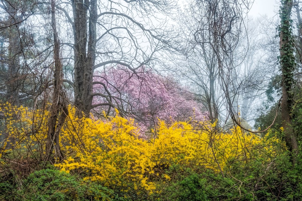 Sheldrake Environmental Center | 685 Weaver St, Larchmont, NY 10538 | Phone: (914) 834-1443