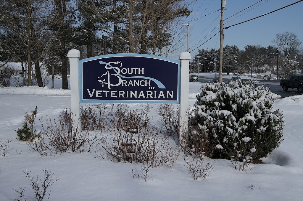 South Branch Veterinary Services | 1127 NJ-31, Lebanon, NJ 08833 | Phone: (908) 735-9998