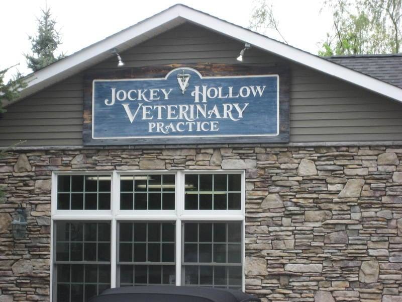 Jockey Hollow Veterinary Practice | 3 Jockey Hollow Rd, New Milford, NY 10959 | Phone: (845) 986-9900