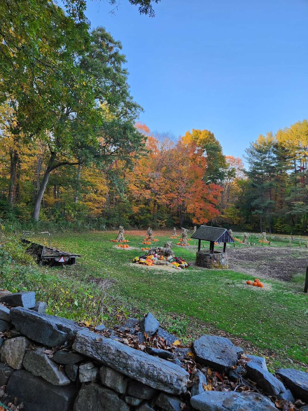 Strawberry Hollow Farm | 2171 Boston Post Rd, Guilford, CT 06437 | Phone: (203) 458-3579