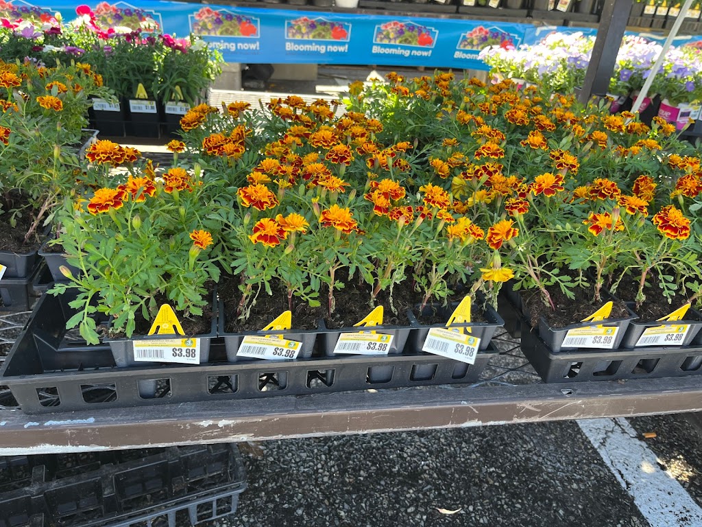 Lowes Garden Center | 5005 Edgmont Ave, Brookhaven, PA 19015 | Phone: (610) 990-8186