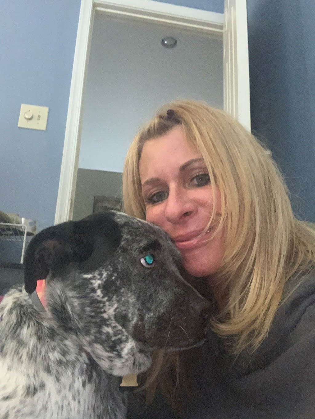 Leias Loving Dog Care | 35 Windham Dr, Mt Holly, NJ 08060 | Phone: (732) 882-2266