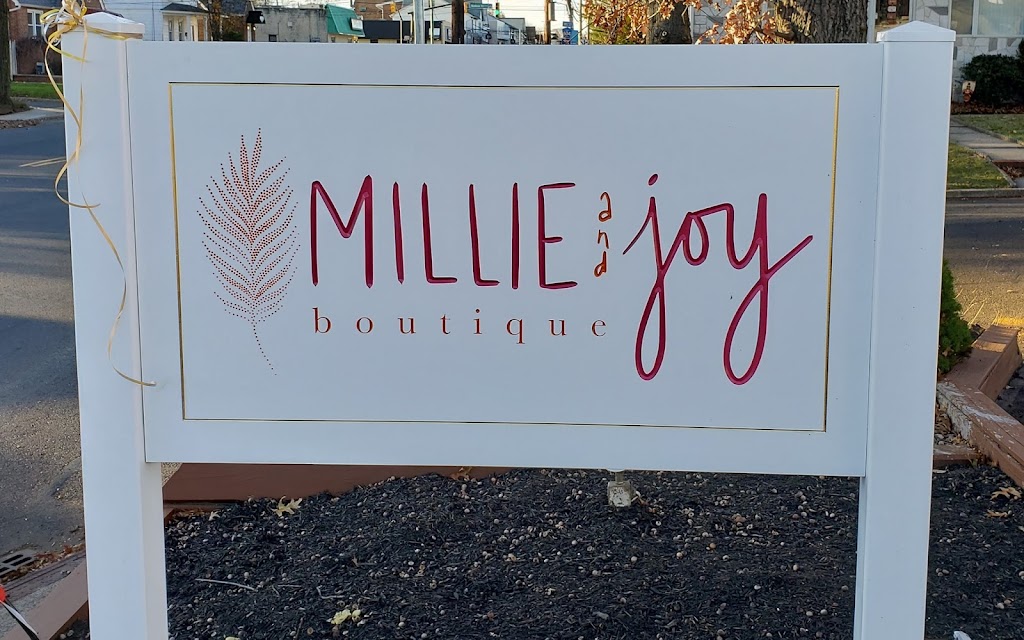 Millie and Joy | 1361 Franklin St, Rahway, NJ 07065 | Phone: (917) 538-1990