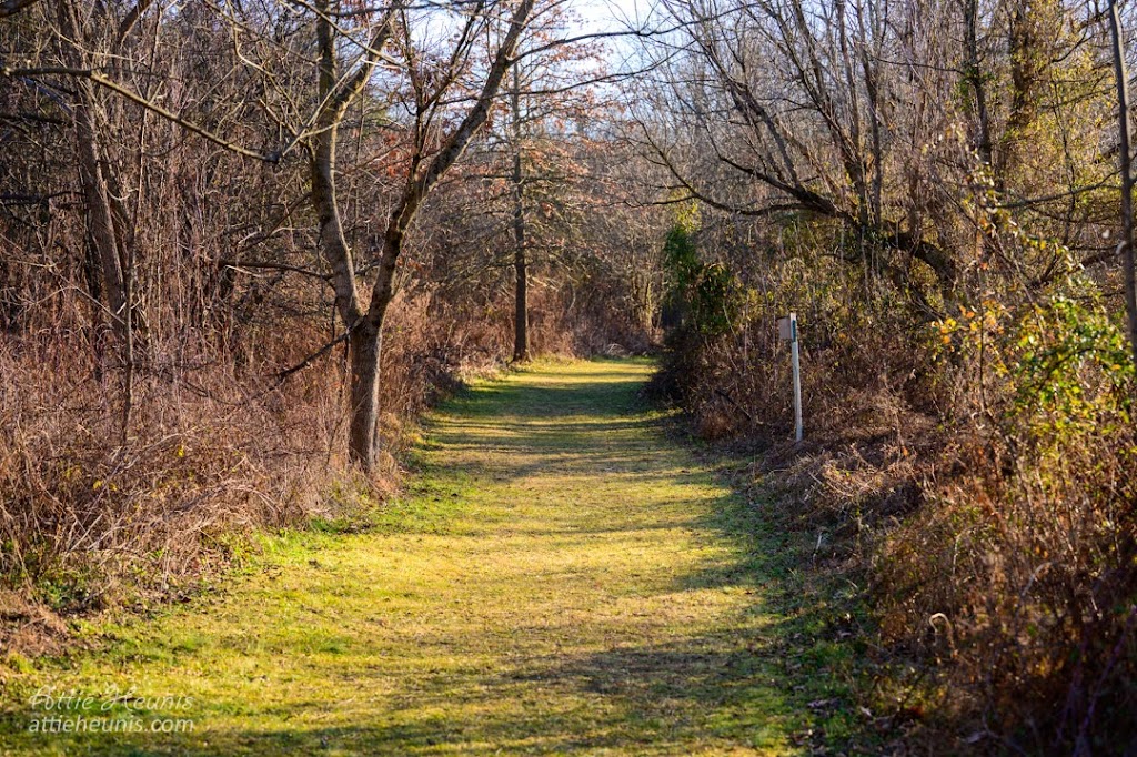 Natural Lands Binky Lee Preserve | 1445 Pikeland Rd, Chester Springs, PA 19425 | Phone: (610) 353-5587