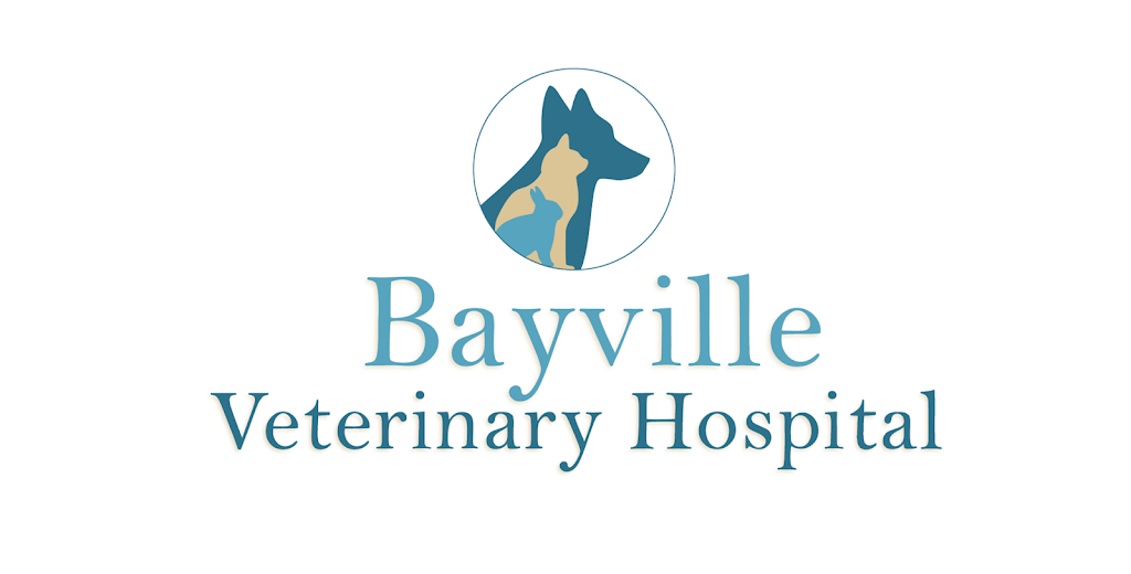 Bayville Veterinary Hospital | 251 Atlantic City Blvd, Bayville, NJ 08721 | Phone: (732) 269-0003