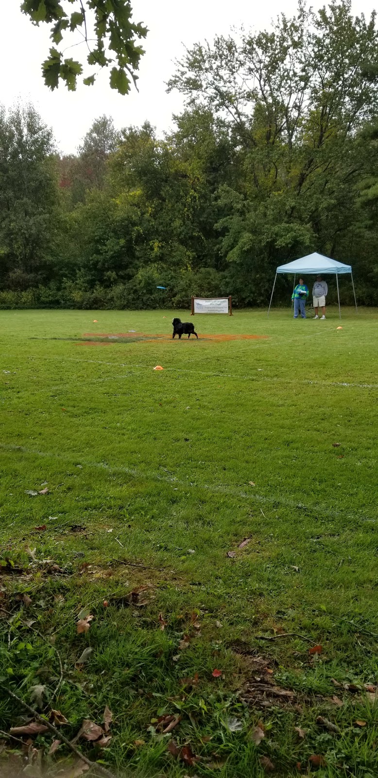 Canine Sports Center | 416 Old Middle St, Goshen, CT 06756 | Phone: (860) 491-3904