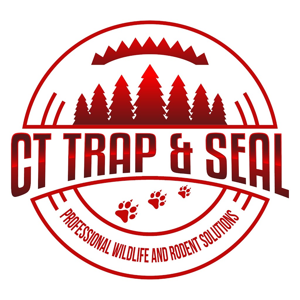 CT Trap & Seal LLC | 95 Overlook Ave, Fairfield, CT 06824 | Phone: (475) 330-4394