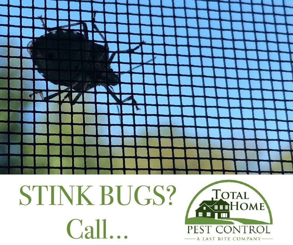 Total Home Pest Control | 9 Lake Dr, Oceanport, NJ 07757 | Phone: (732) 938-3232