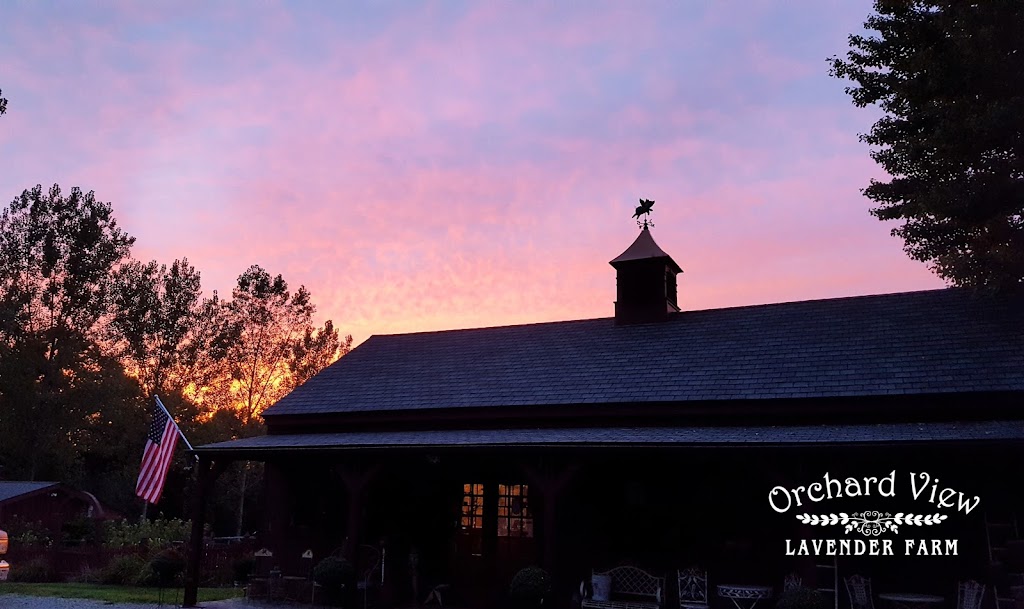 Orchard View Lavender Farm | 101 Karrville Rd, Port Murray, NJ 07865 | Phone: (201) 341-8147