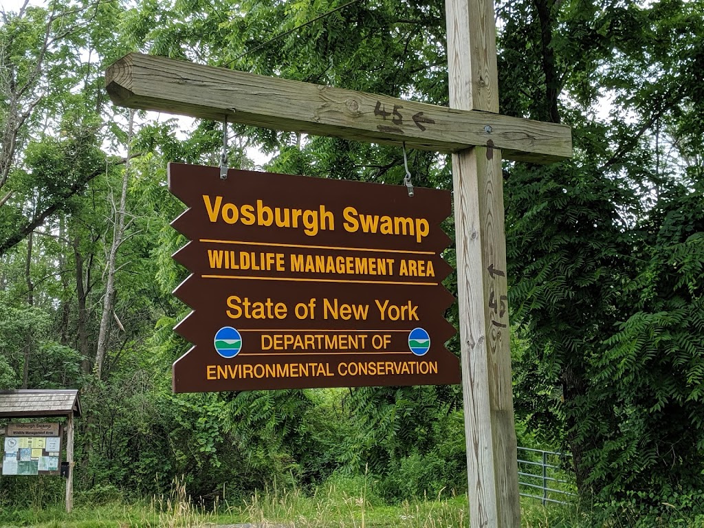 Vosburgh Swamp Wildlife Management Area | 4 Mile Point Rd, Coxsackie, NY 12051 | Phone: (845) 473-4440