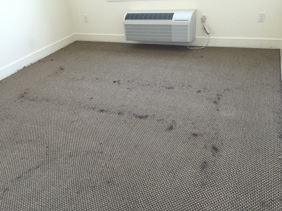 Carpet Cleaning Lehigh Valley | 250 Pine Valley Terrace, Easton, PA 18042 | Phone: (484) 212-0950