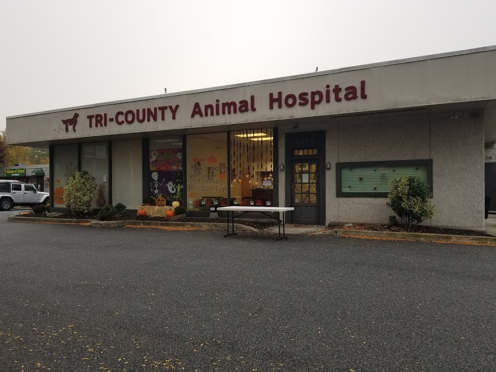Tri-County Animal Hospital | 1302 Hamburg Turnpike, Wayne, NJ 07470 | Phone: (973) 831-2426