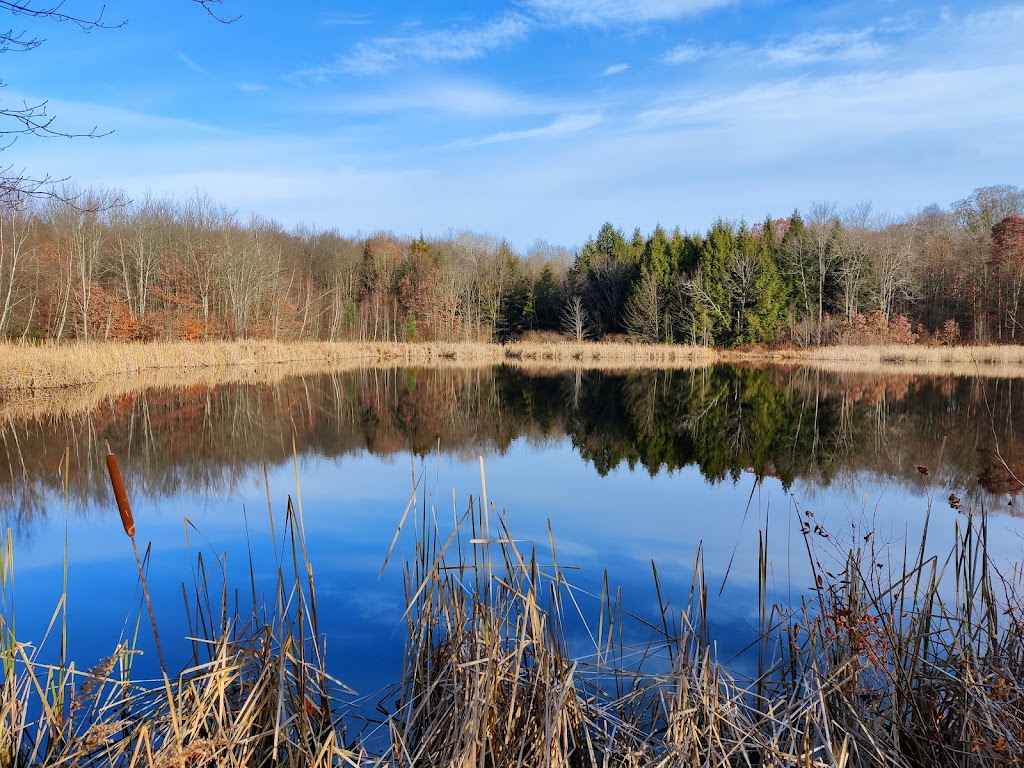 Muscoot Reservoir Recreation Area | NY-100, Somers, NY 10589 | Phone: (914) 995-2000