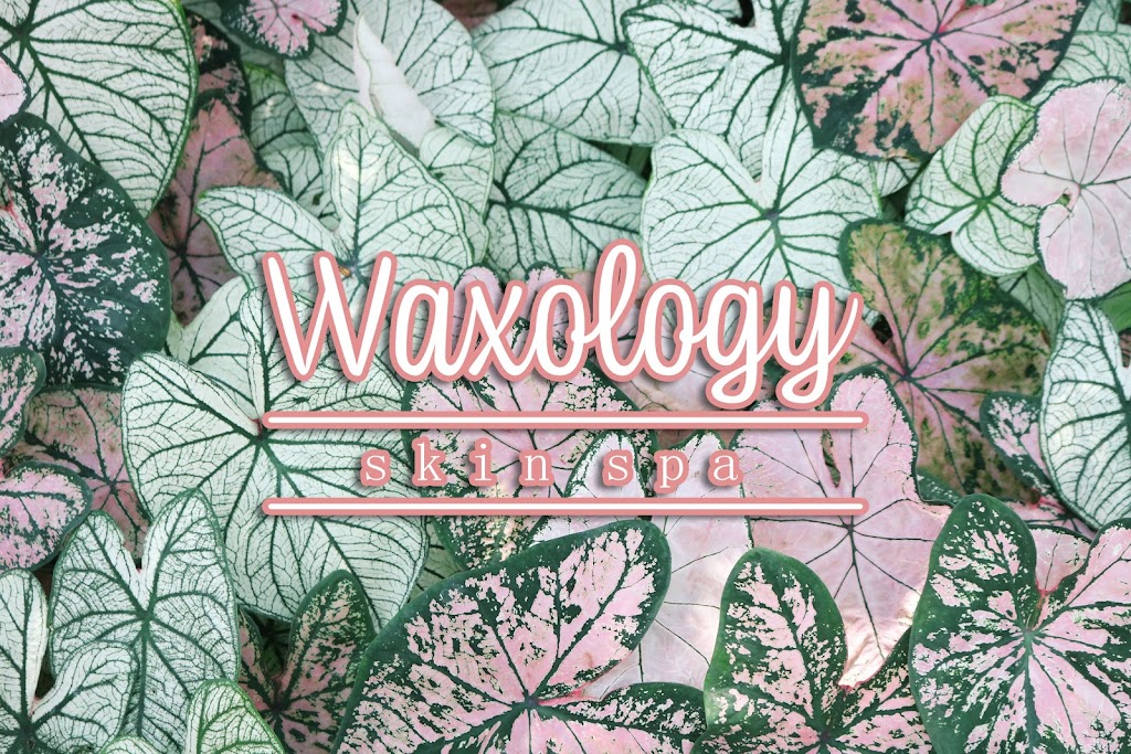 Waxology Skin Spa | 2240 Marlton Pike W Suite 11, Cherry Hill, NJ 08002 | Phone: (856) 275-3999