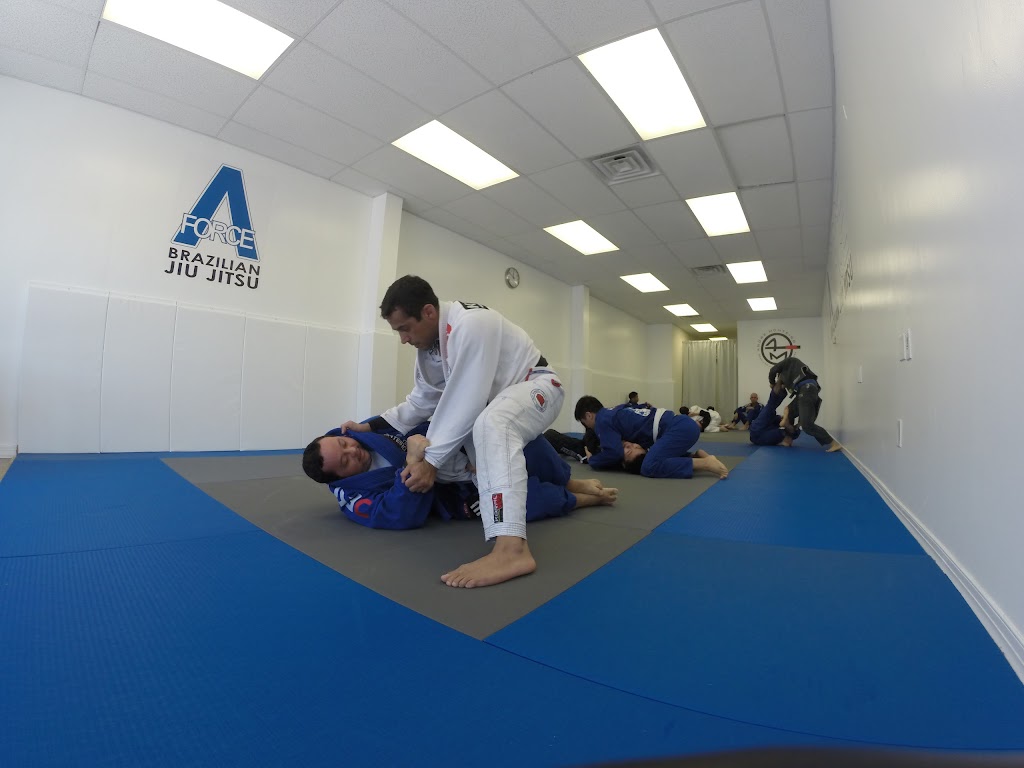 A Force Brazilian Jiu Jitsu Academy | 340 Great Neck Rd, Great Neck, NY 11021 | Phone: (516) 344-7812