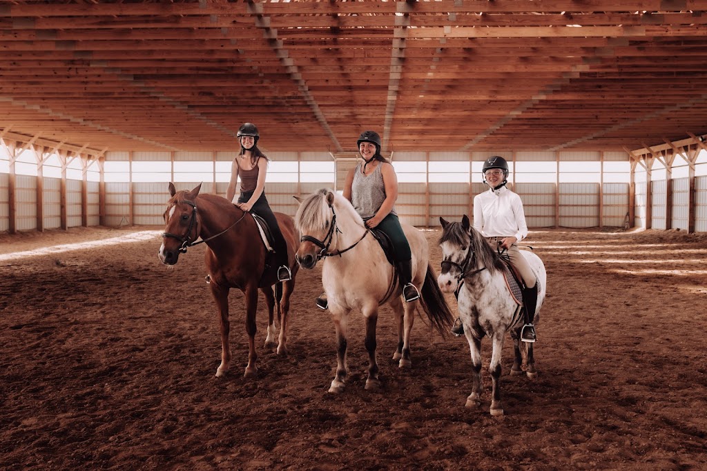 Imagine Special Equestrians | 1039 Sound Ave, Calverton, NY 11933 | Phone: (631) 209-7750