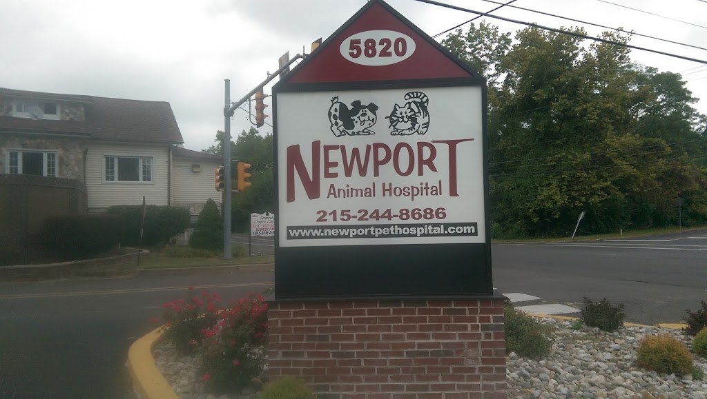 Newport Animal Hospital | 5820 Bensalem Blvd, Bensalem, PA 19020 | Phone: (215) 244-8686